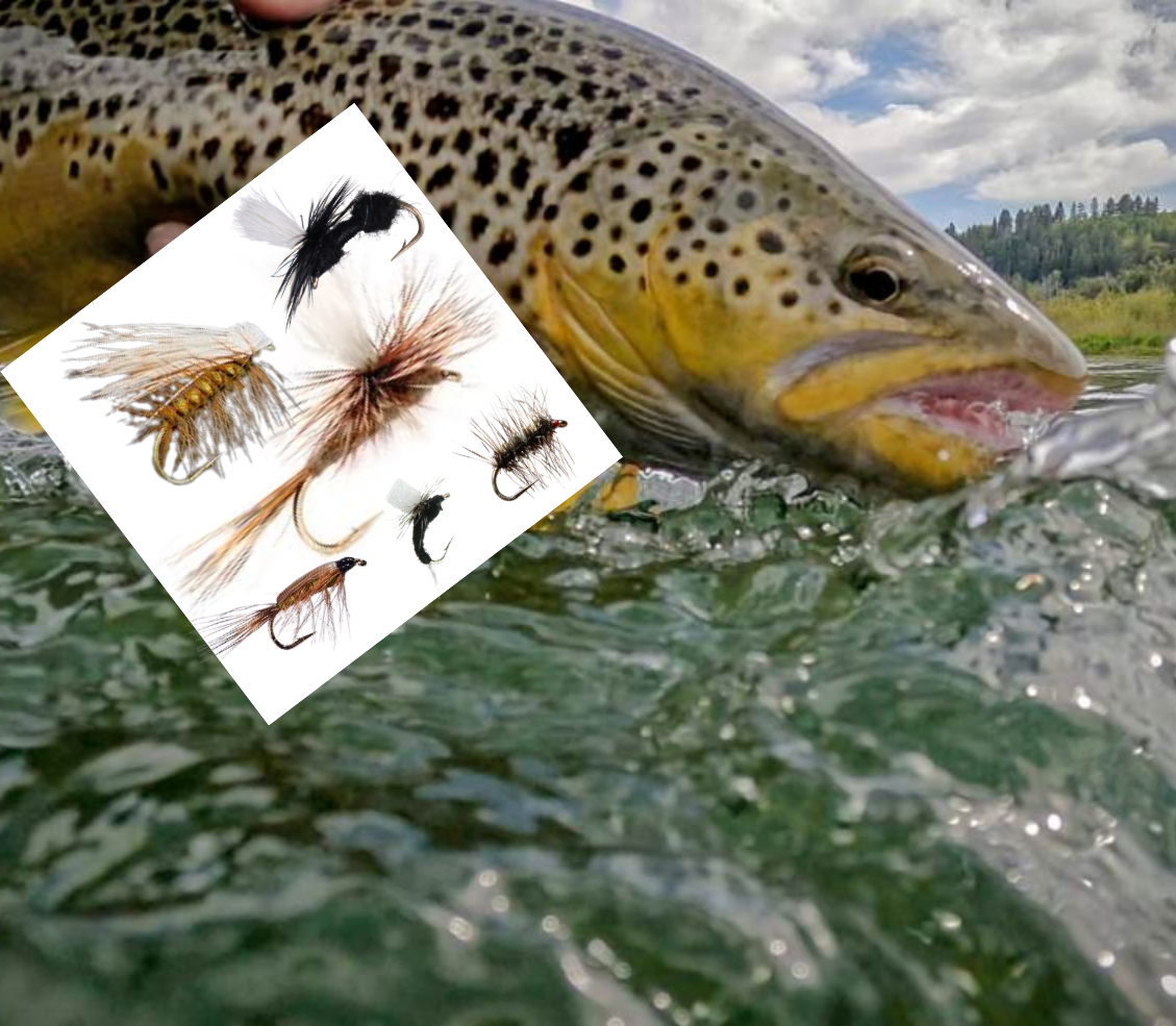 40 Dry Fly Pack