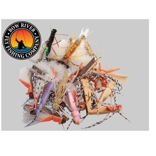 24 Foam Fly Starter Pack