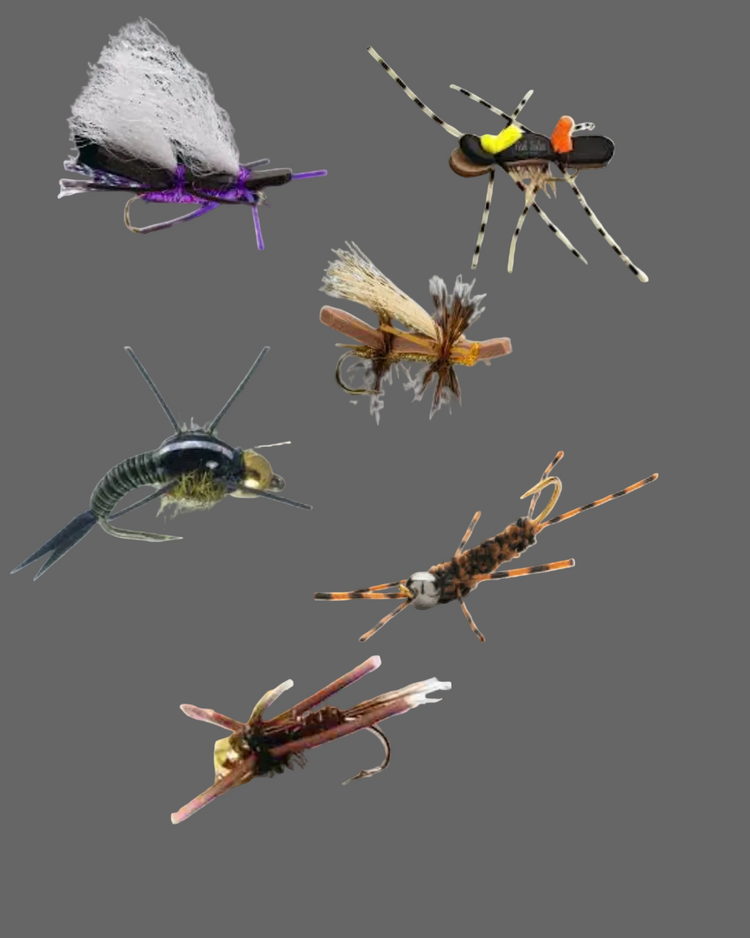 24 Stonefly Pack $23.95  ($0.99 per fly)