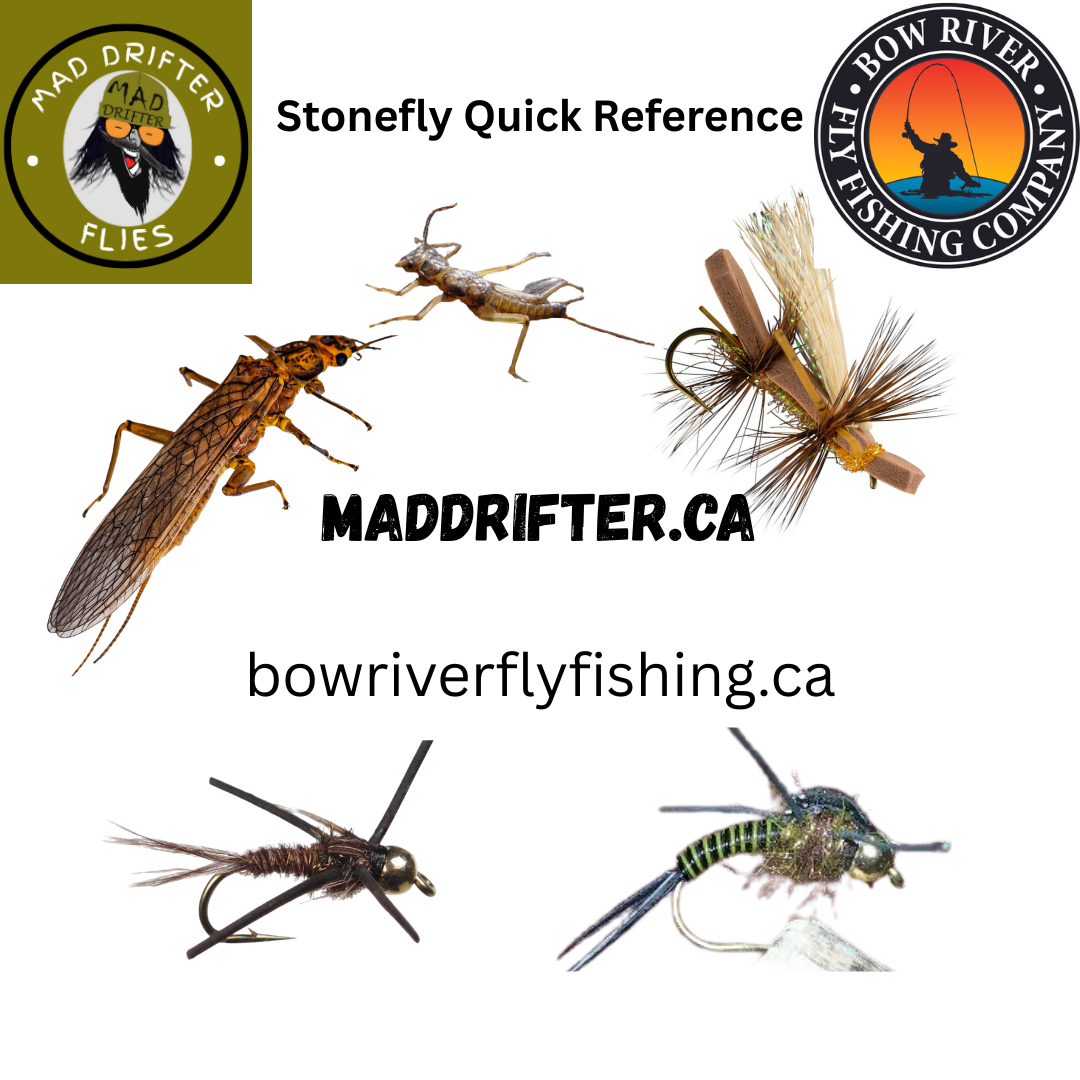 Stonefly Quick Reference Free Download