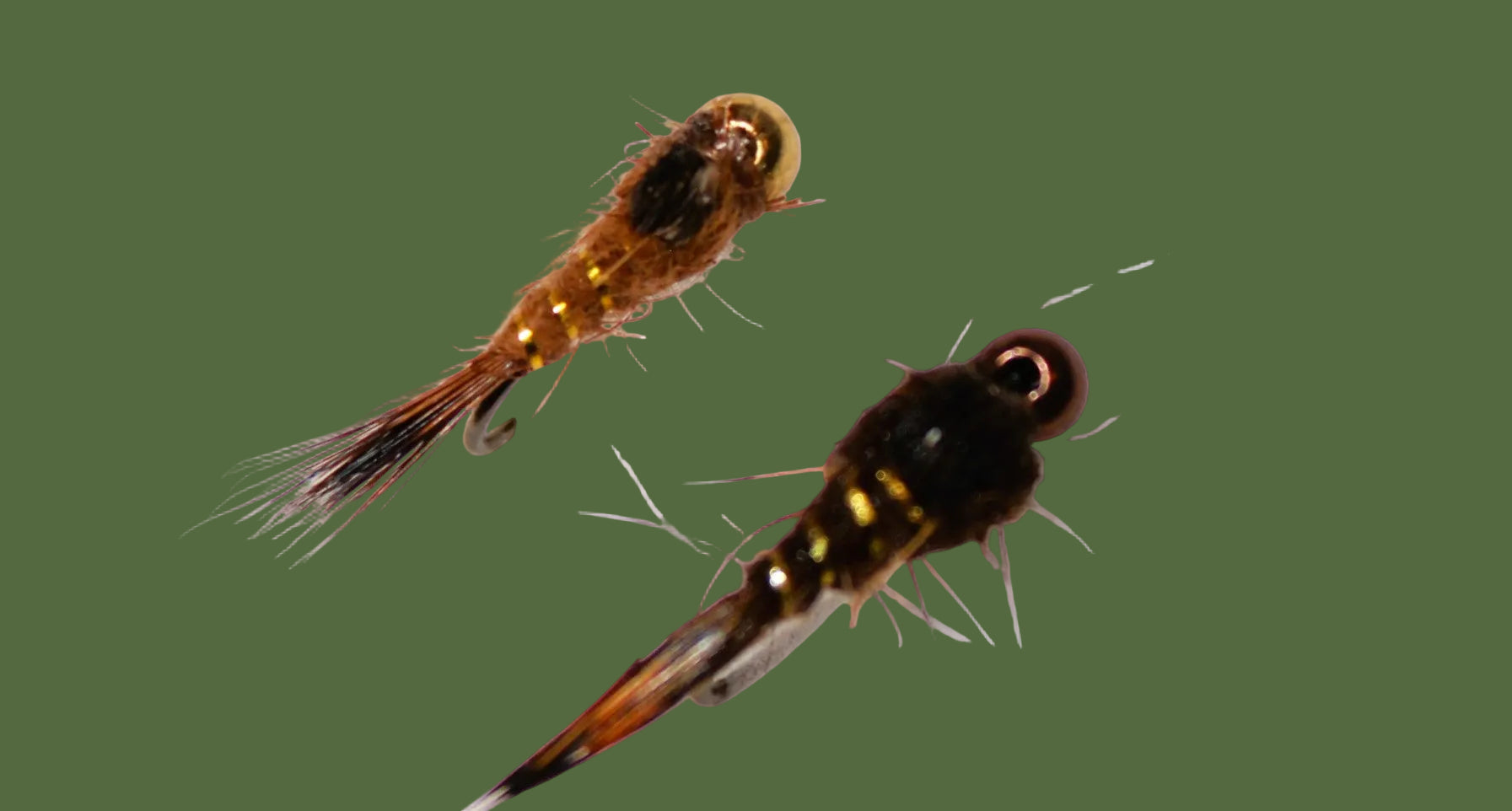 Caddis Fly Tips FREE DOWNLOAD