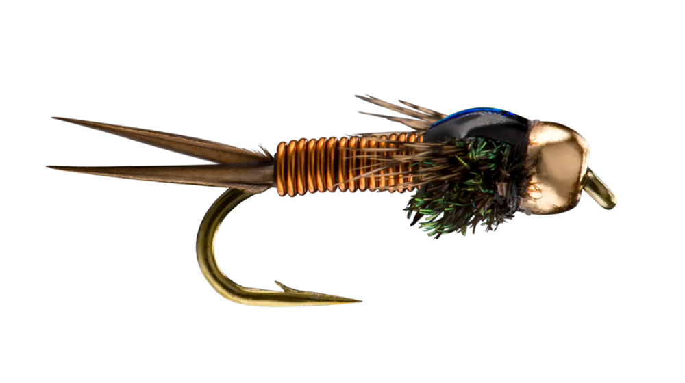 12 Copper John Bronze Body