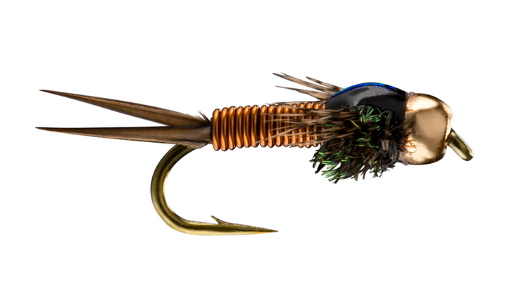 12 Copper John Bronze Body