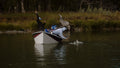 Beginner Lesson Float