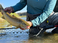 June 18 Beginner Casting Clinic