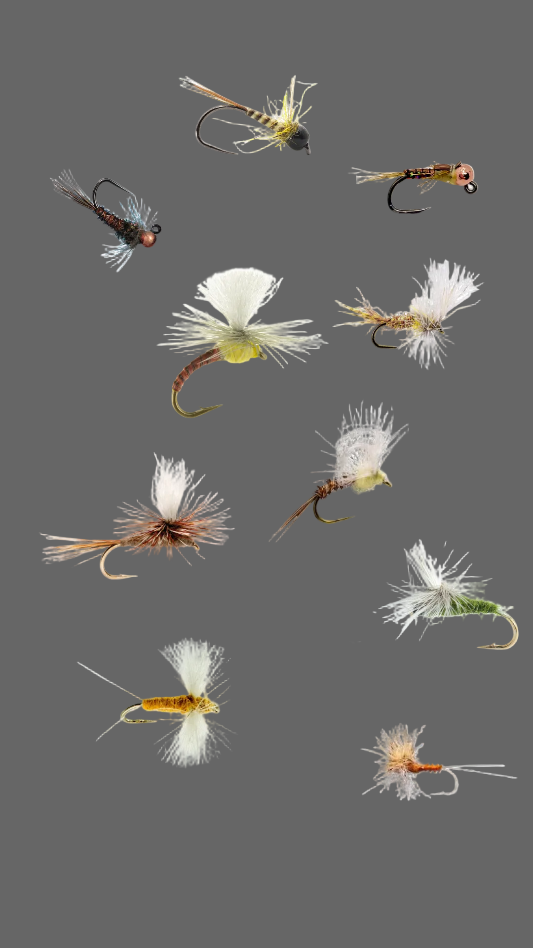 May Fly Life Cycle 40 Flies $24.95