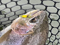 Lynda McLennan July 4 / 4 hour Casting and Foundation of Fly Fishing Clinic $200
