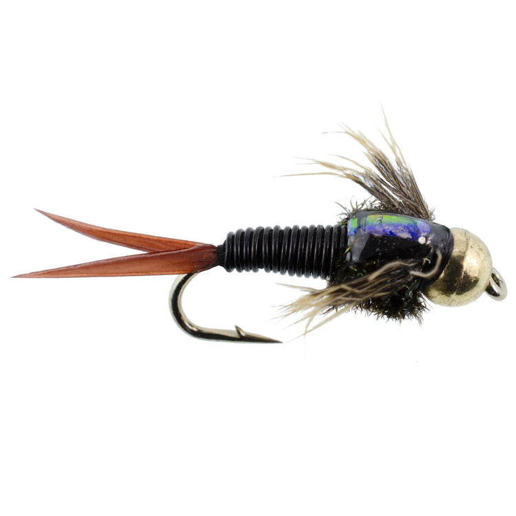 12 Copper John Black Body