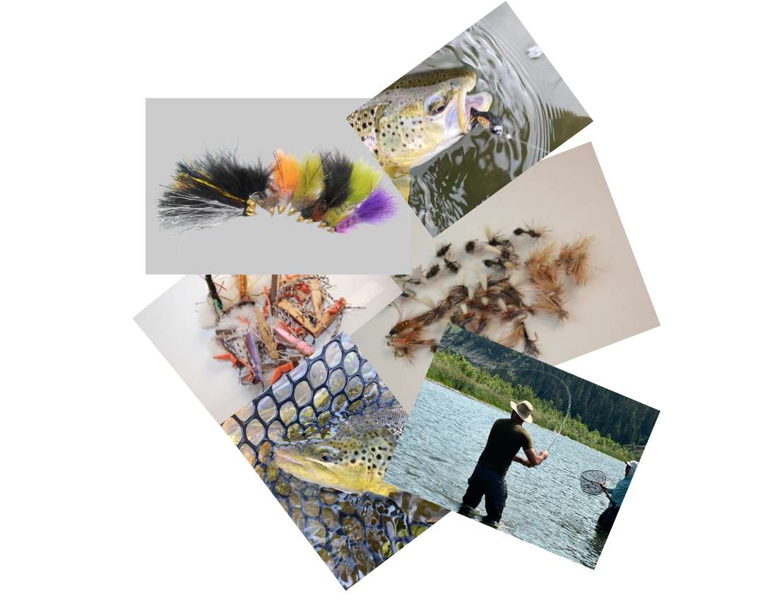 Beginner Fly Casting Clinic July 23rd