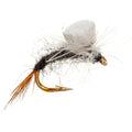 Beginner Fly Casting Clinic July 9th
