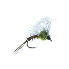 Mayfly Tips FREE DOWNLOAD