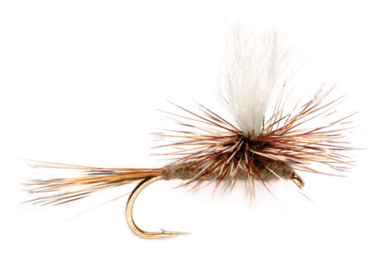 Mayfly Tips FREE DOWNLOAD